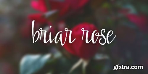 Briar Rose Font for $15