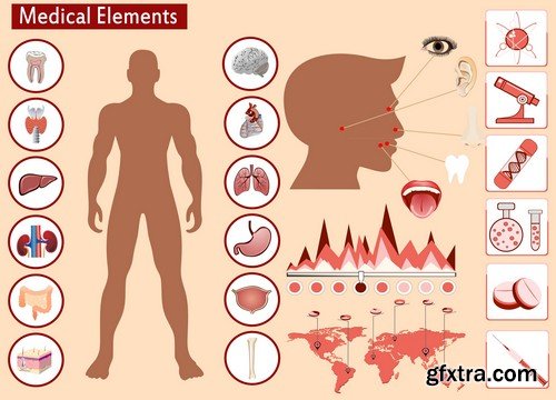 Stock Vectors - Medical Infographic 8, 25xEPS