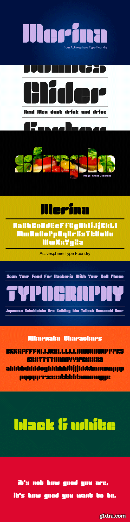 Merina Font Family - 2 Fonts for $51