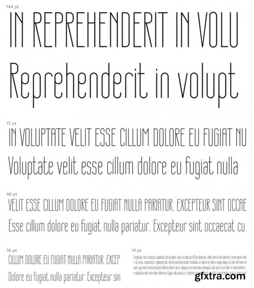 Designer RD Font Family 5xOTF $100