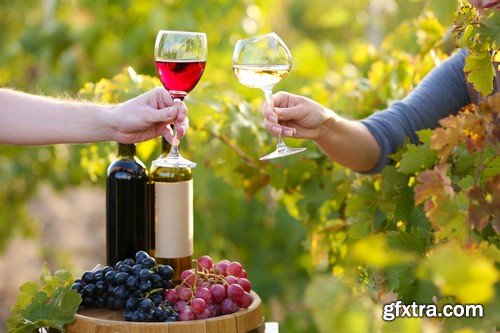 Stock Photos - Wine 4, 25xJPG