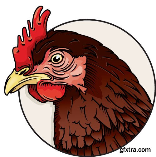 Chicken Logos & Designs 25xEPS