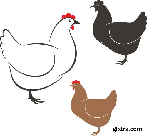 Chicken Logos & Designs 25xEPS