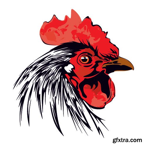 Chicken Logos & Designs 25xEPS