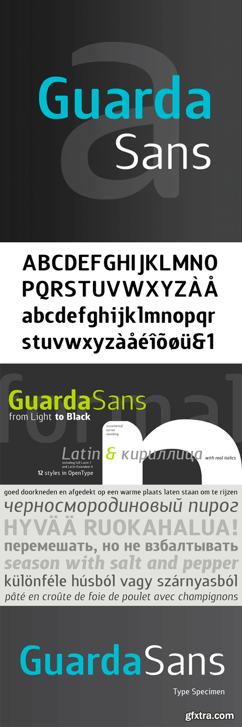 Guarda Sans Font Family - 12 Fonts for $222