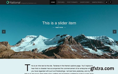 National Basic v1.0.2 - WordPress Theme