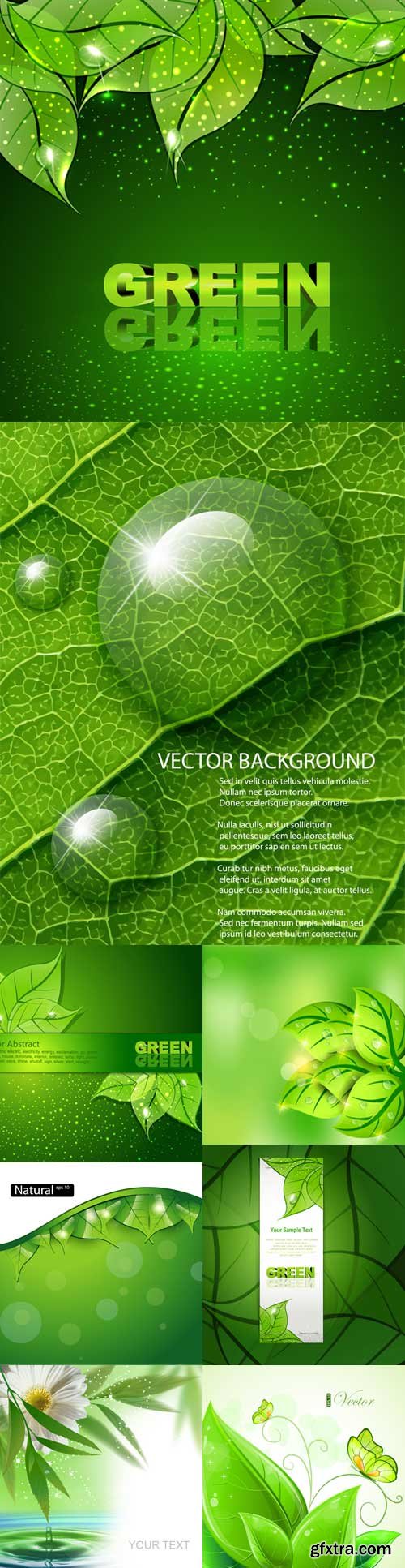 Green freshness backgrounds