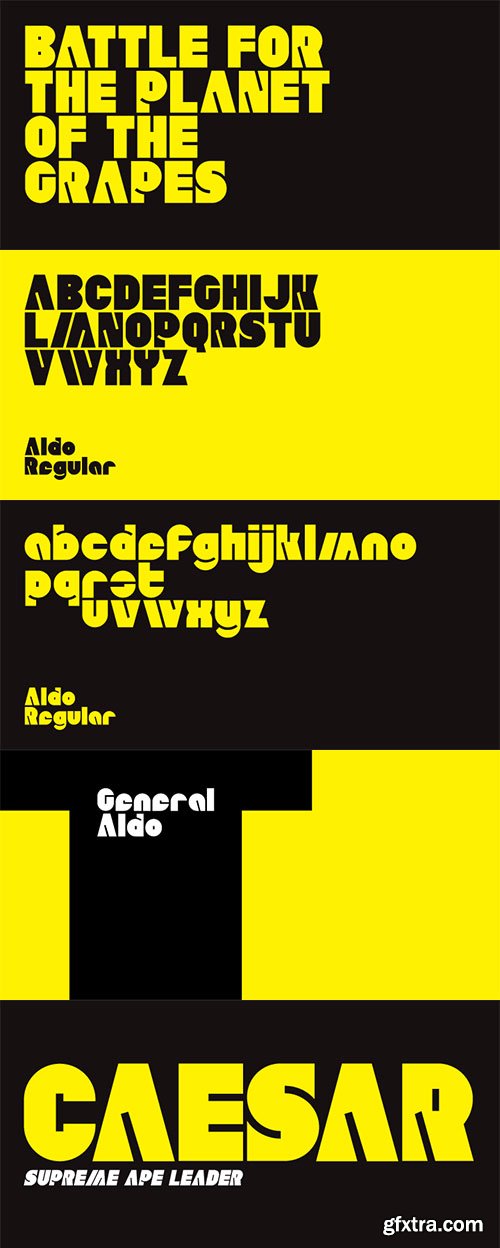 Aldo Font Family, 5 Fonts $89