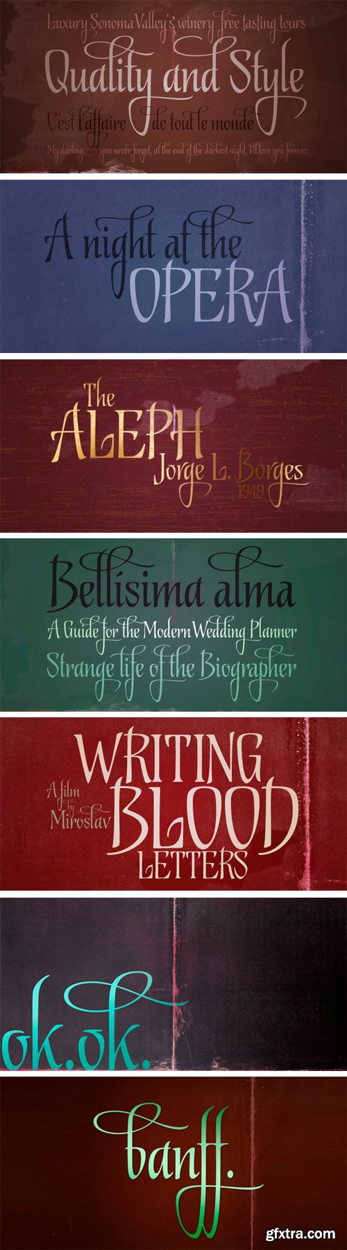 Biographer Font for $79