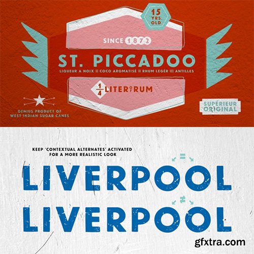 Newcastle Font Family - 9 Font 36$