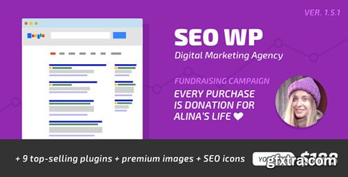 ThemeForest - SEO WP v1.5.1 - Social Media and Digital Marketing Agency