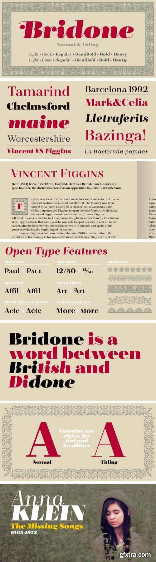 Bridone Font Family - 24 Fonts for $142