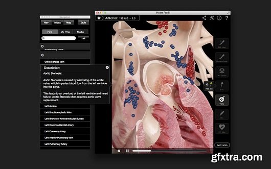 Heart Pro III v3.8 (Mac OS X)