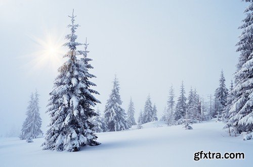 Stock Photos - Winter landscape, 25xJPG