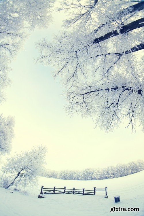 Stock Photos - Winter landscape, 25xJPG