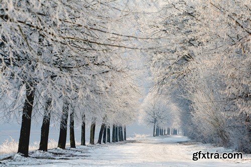 Stock Photos - Winter landscape, 25xJPG