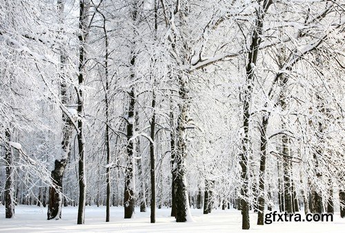 Stock Photos - Winter landscape, 25xJPG