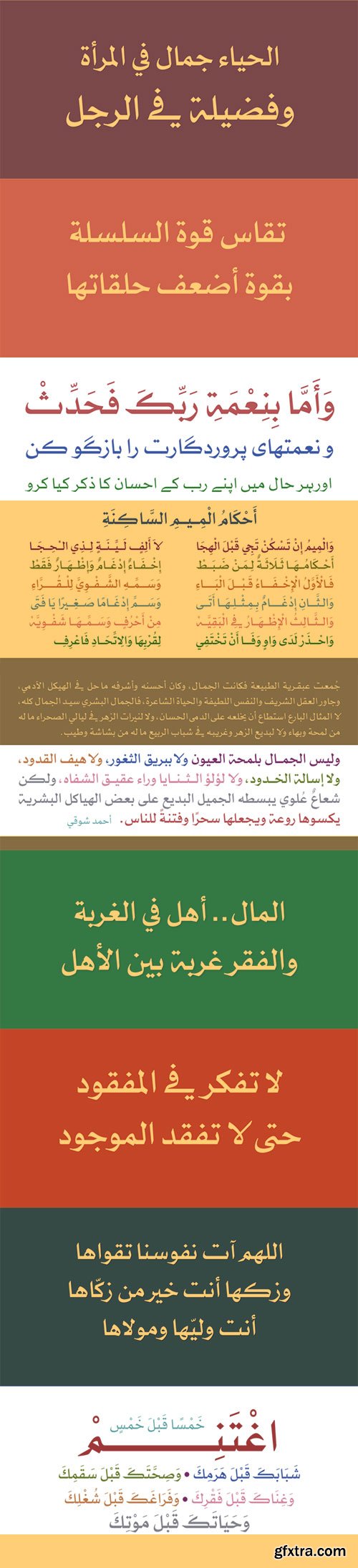 Abdo Line Arabic, Persian & Urdu Naskh Font Family 6xOTF $400