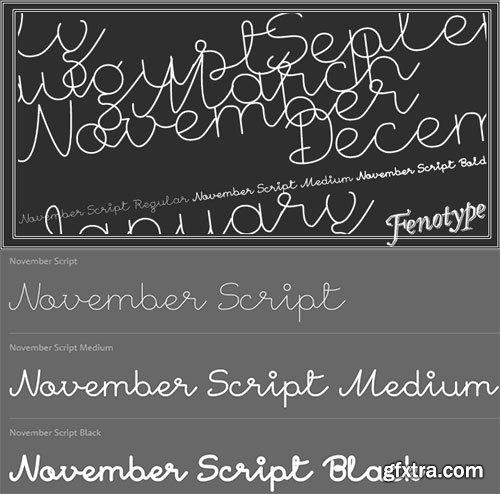 November Script Font Family 3xOTF $70