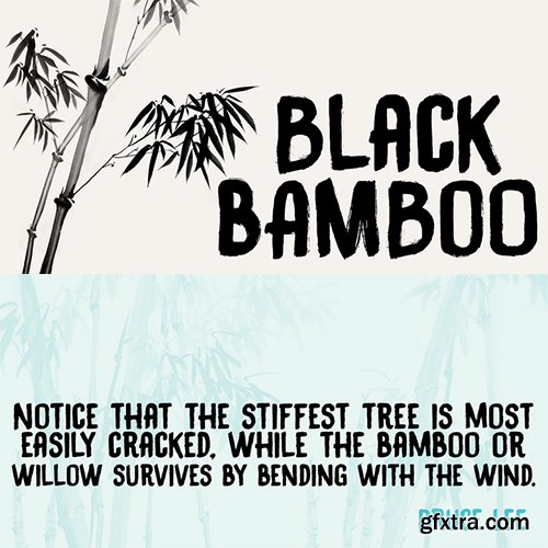 Black Bamboo Font - 1 Font