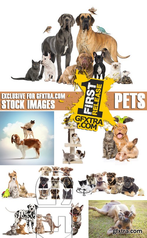 Stock Photos - Pets, 25xJPG