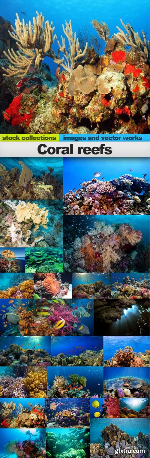 Coral reefs,25 x UHQ JPEG