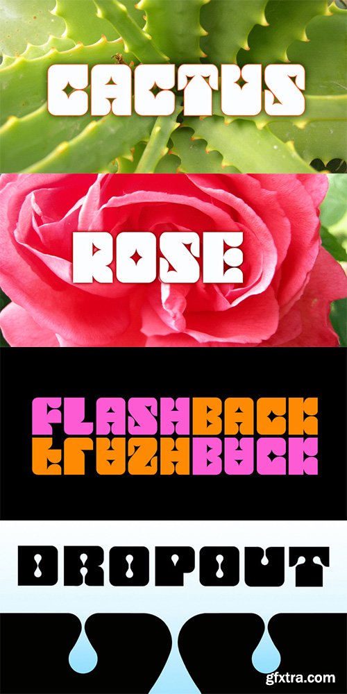 Flashback Font Family - 87$