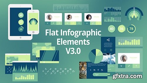 Videohive - Flat Infographic Elements V3.0 8498708