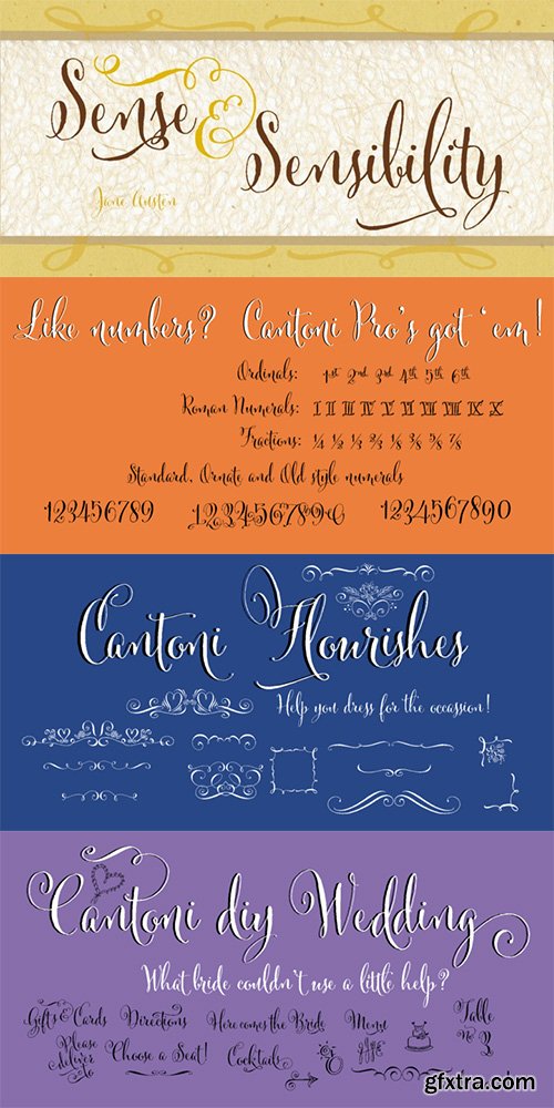 Cantoni Font Family - 7 Fonts 210$