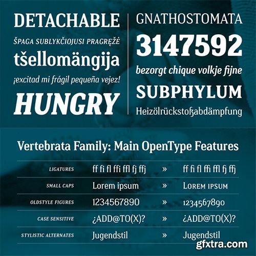 Vertebrata Font Family - 6 Fonts 117$