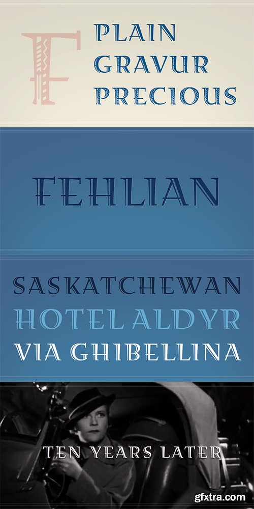 Fehlian Font Family - 3 Fonts 102$