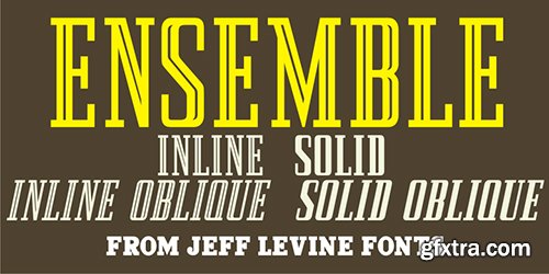 Ensemble Inline JNL Font Family - 4 Fonts 100$