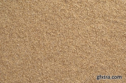 Collection backgrounds from natural grains 25 UHQ Jpeg