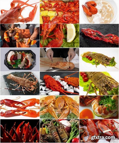 Collection of delicious boiled lobster 25 UHQ Jpeg