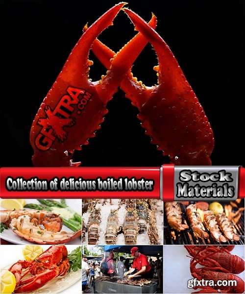 Collection of delicious boiled lobster 25 UHQ Jpeg