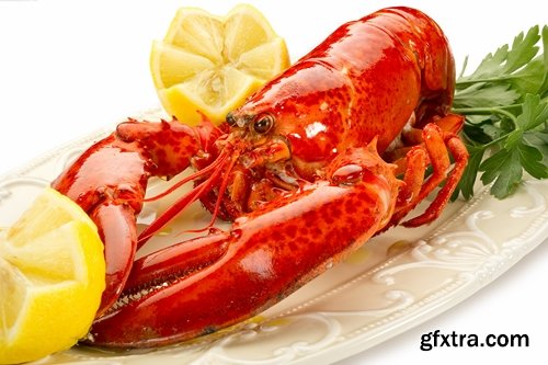 Collection of delicious boiled lobster 25 UHQ Jpeg