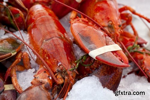 Collection of delicious boiled lobster 25 UHQ Jpeg