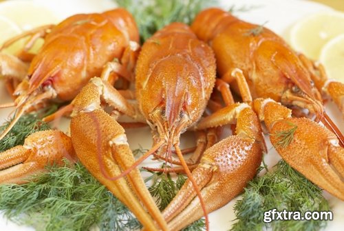 Collection of delicious boiled lobster 25 UHQ Jpeg