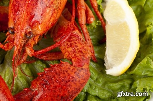 Collection of delicious boiled lobster 25 UHQ Jpeg