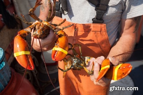 Collection of delicious boiled lobster 25 UHQ Jpeg