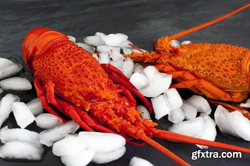 Collection of delicious boiled lobster 25 UHQ Jpeg