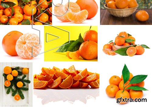 Stock Photos - Mandarin, Tangerine, 25xJPG