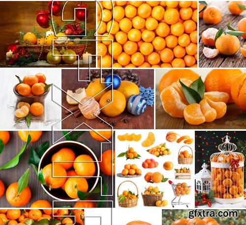 Stock Photos - Mandarin, Tangerine, 25xJPG