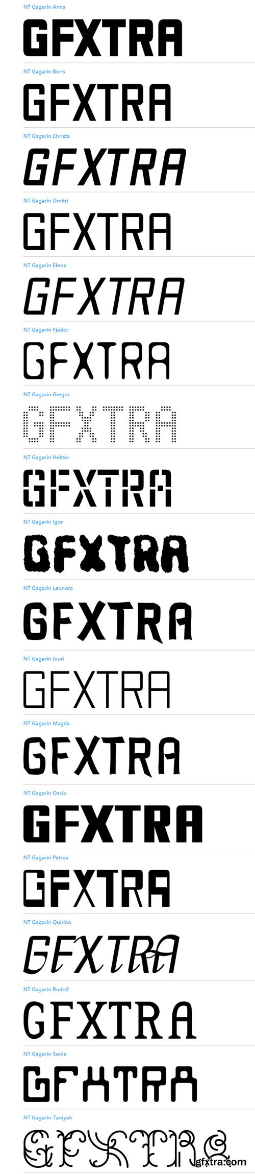 NT Gagarin Font Family $360