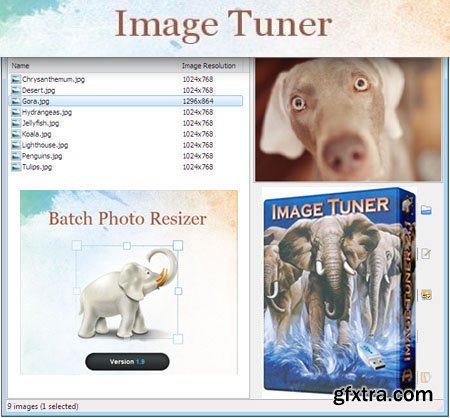 Image Tuner v5.0 Portable