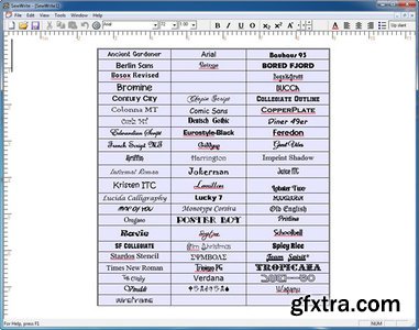 Sandscomputing SewWrite v1.2.9.090114 (x86/x64)