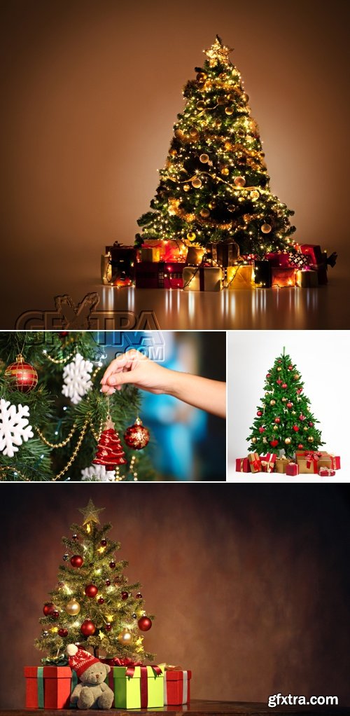 Stock Photo - Christmas Tree 2015