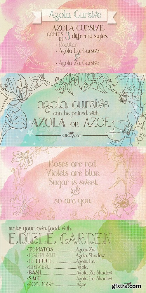 Azola Cursive Font Family 3 Fonts $67