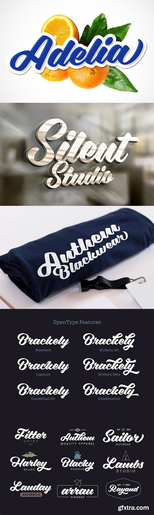 Adelia Font Family 2 Fonts