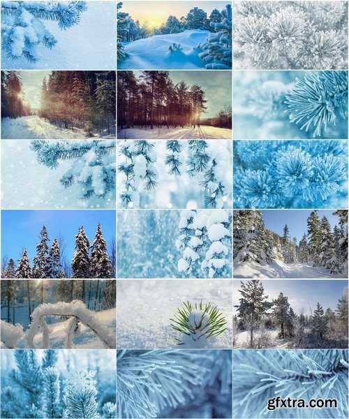 Collection of images of the winter forest 25 UHQ Jpeg